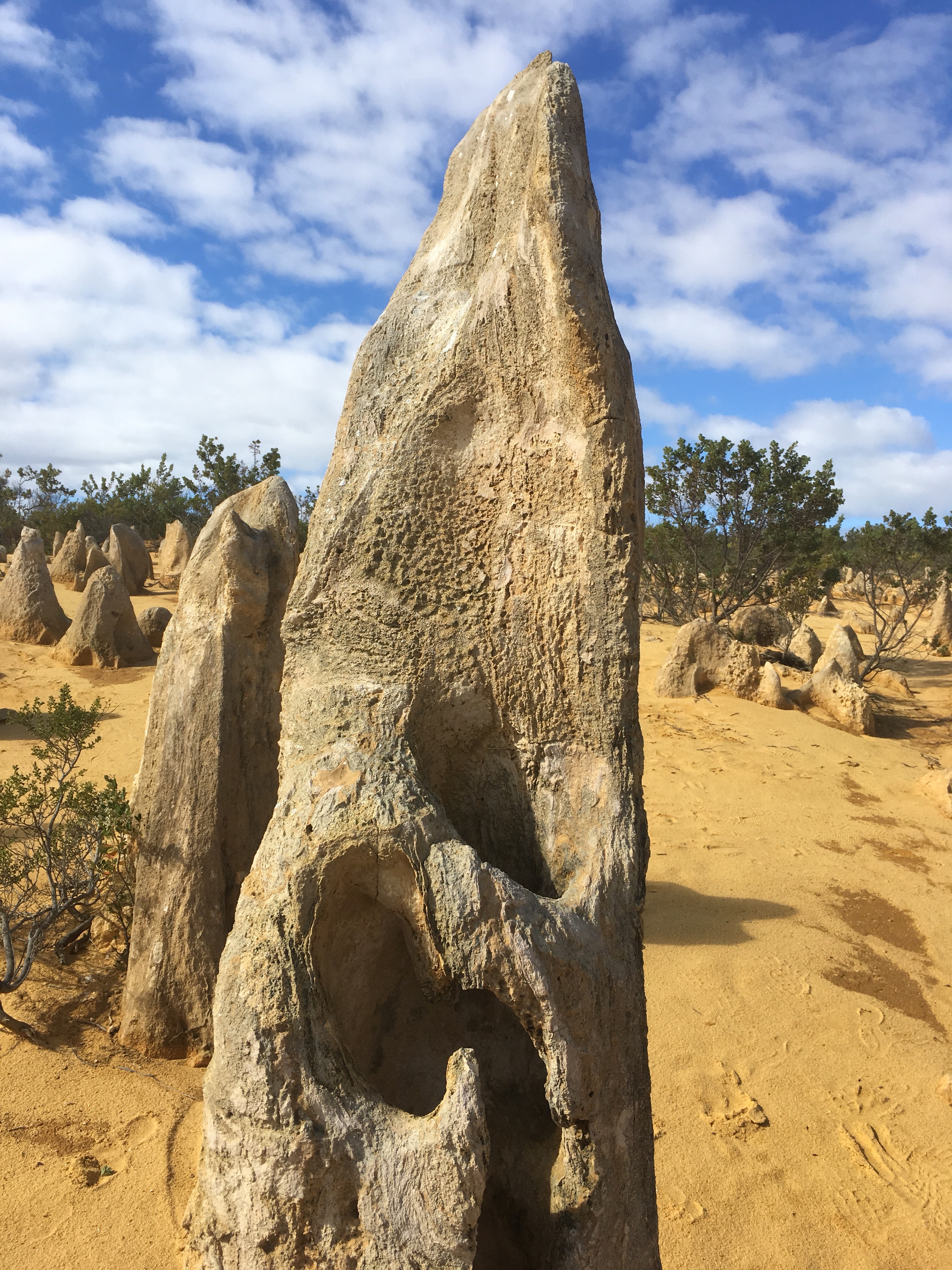 The Pinnacles, amazing limestone rock formations outside of Perth.